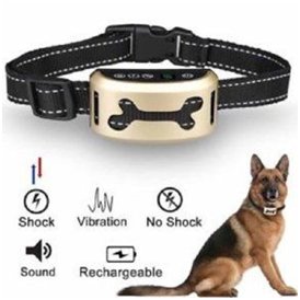 Training your German Shepherd 