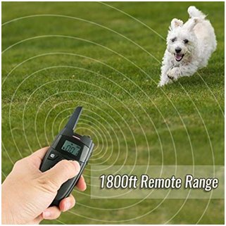 Remote Dog Training Collar