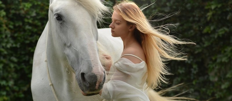 Can horses read your emotion?