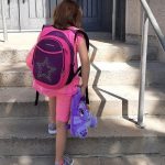 Lunch Pets Kids Lunch Box and Cute Plush Combo