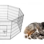 Preparing a whelping room for your litter