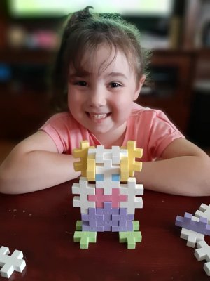 plus plus blocks. plus plus blocks.