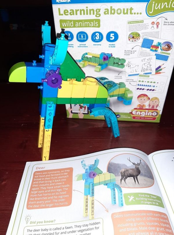 Engino STEM toys