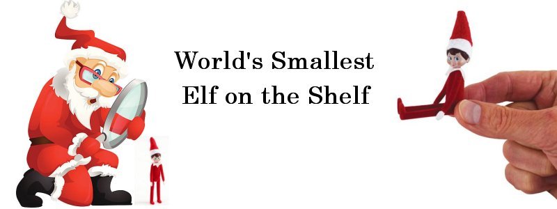 World’s Smallest Elf on the Shelf