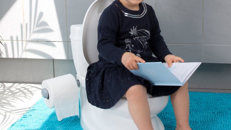ToyLet potty training system