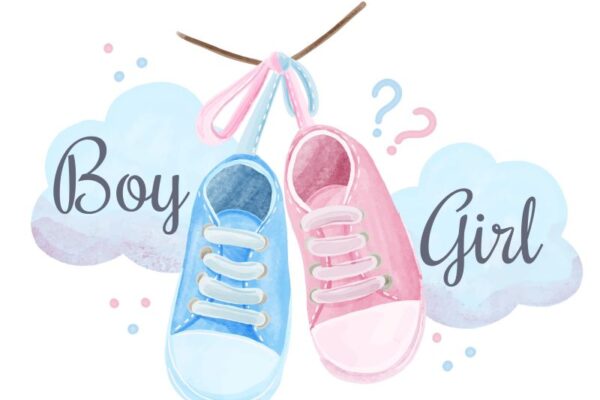 Planning the Perfect Gender Reveal for After Quarantine