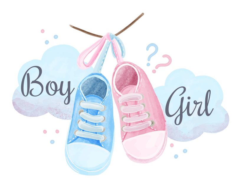 Simple gender reveal ideas at home