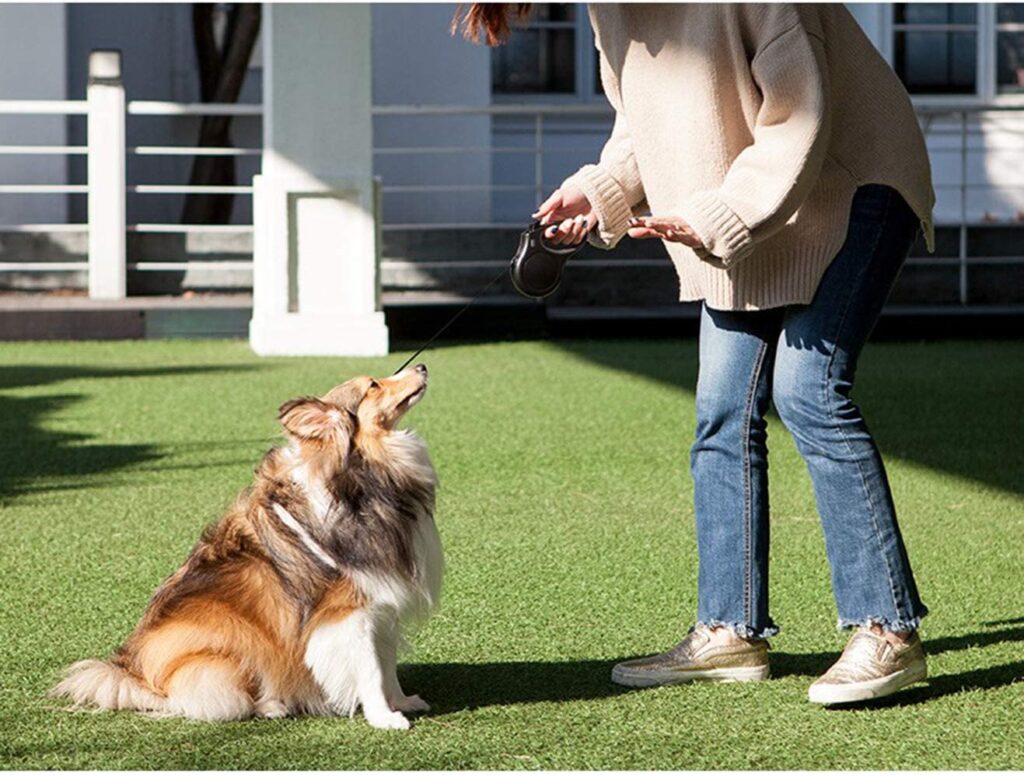 Retractable Dog Leash