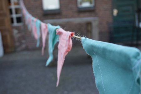 Gender Reveal
