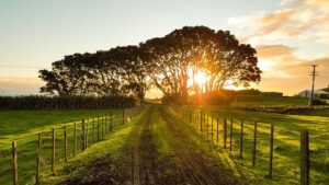 countryside sunset landscape