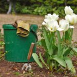 Gardening Benefits for Anti-Aging