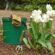 Anti-Aging Gardening Benefits for your well being