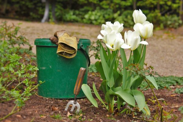 Gardening Benefits for Anti-Aging