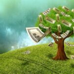 How Polo Funding Can Help You Start Over