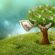 How Polo Funding Can Help You Start Over – A Guide