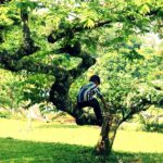 Help your children increase their concentration power