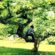 Top Ways to Increase Concentration Power in Children