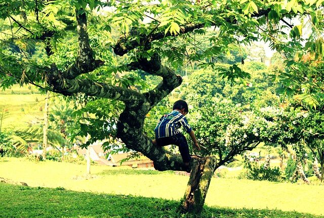 outdoor play for children