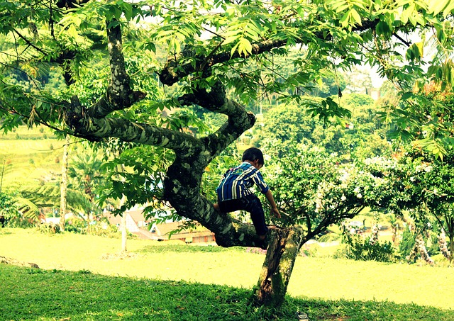 outdoor play for children