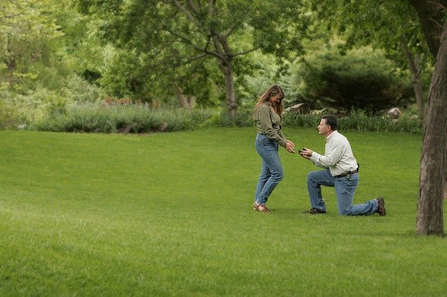 Happily Ever After: An Unlikely Proposal