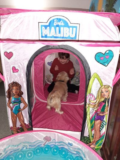 Barbie Dreamhouse Pop Up Tent