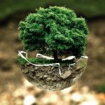 7 Eco-Friendly Items to Help You Ditch Plastic in 2021