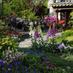 How to make your garden and outside space appear homelier and more inviting