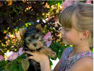 How Dog Ownership Supports a Child’s Development 