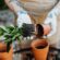 Having your own garden – Digging into Happiness