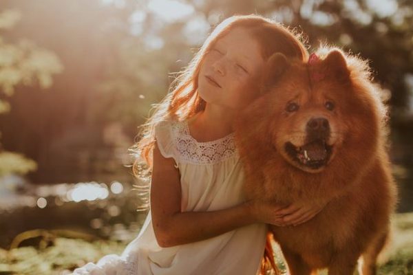 How Dog Ownership Supports a Child’s Development