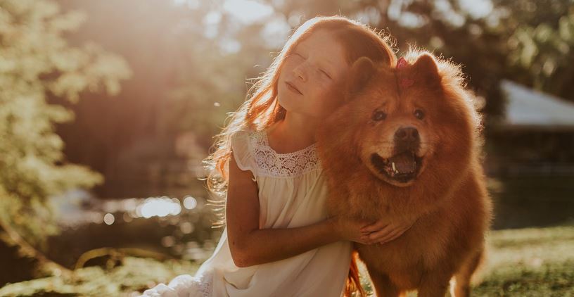 How Dog Ownership Supports a Child’s Development