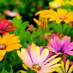 Creative ways for women to be more environment friendly