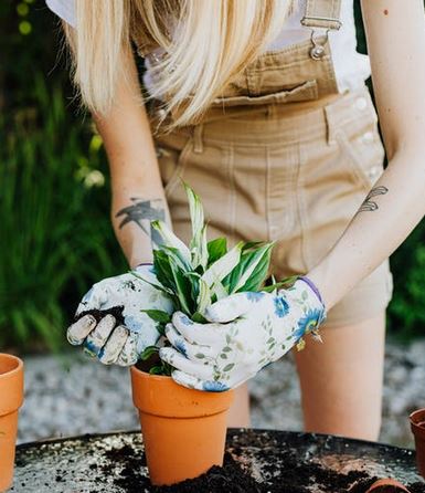 gardening