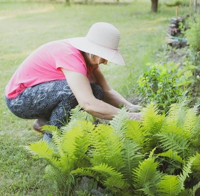 gardening outside