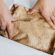 Office Gifts : Top Ideas for Co-Workers and Bosses