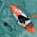 How To Get In A Kayak: The Ultimate Guide