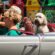 Travelling with pets – How to Prepare Your Pet