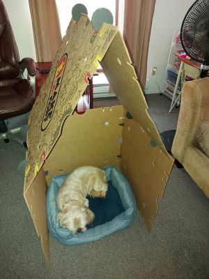 Fort Dog House