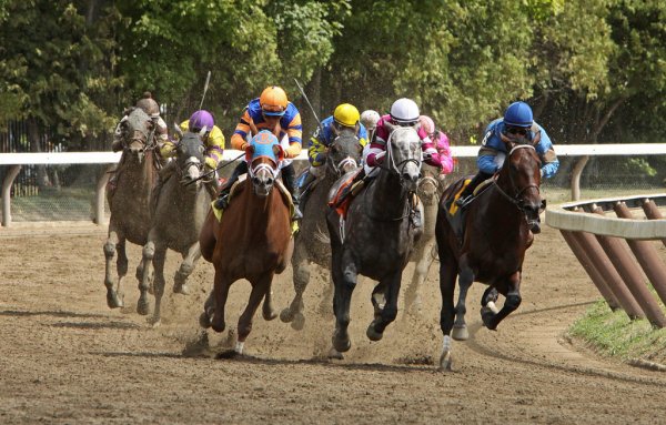 Kentucky Derby winner