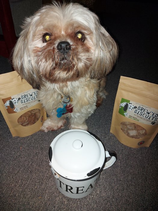 Healthy Dog Treats vs Commercial Dog Treats