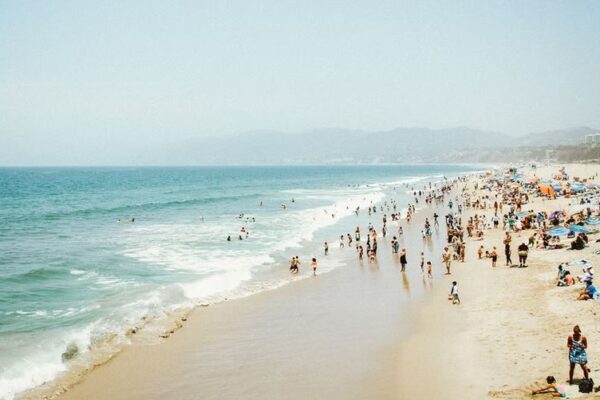 How to Do a Beach Clean Up