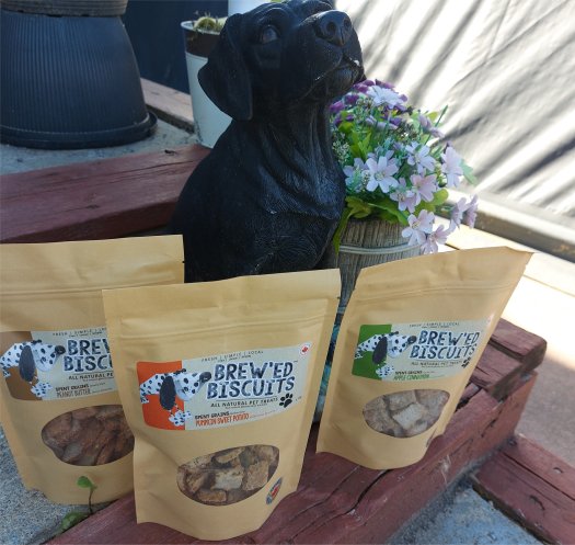 Healthy Dog Treats vs Commercial Dog Treats