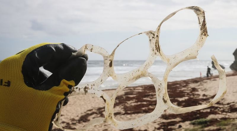 beach clean up