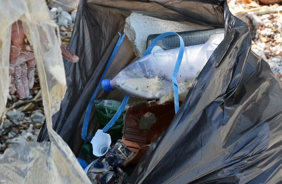 Beach clean up