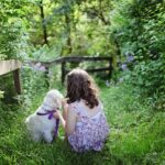 The Benefits of a Family Pet