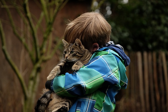 Boy and cat