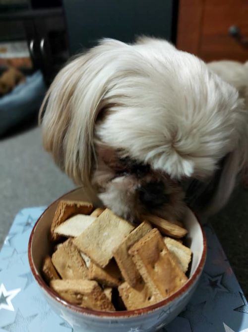 Northern dog biscuit review
