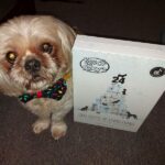 Bosco & Roxy’s 24 Dog Days of Christmas Advent Treat Calendar