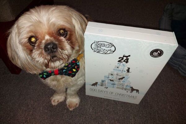 Bosco & Roxy’s 24 Dog Days of Christmas Advent Treat Calendar