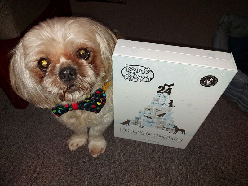 Bosco & Roxy’s 24 Dog Days of Christmas Advent Treat Calendar